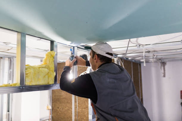 Best Blown-In Insulation  in Estill, SC