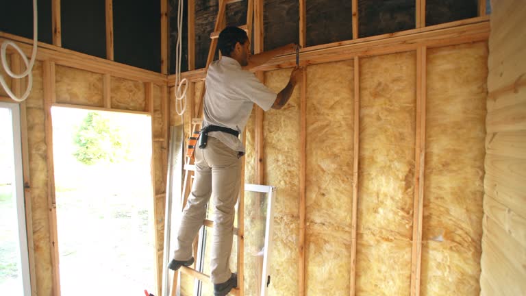 Professional Insulation in Estill, SC